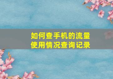 如何查手机的流量使用情况查询记录