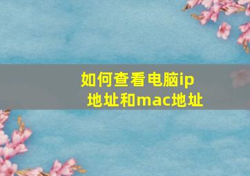 如何查看电脑ip地址和mac地址