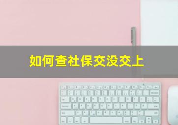 如何查社保交没交上