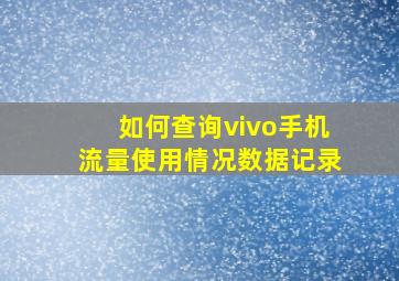 如何查询vivo手机流量使用情况数据记录