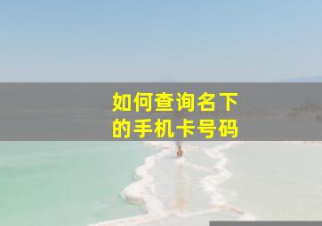 如何查询名下的手机卡号码