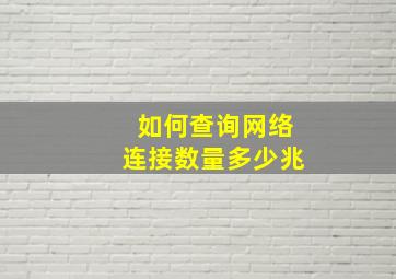 如何查询网络连接数量多少兆