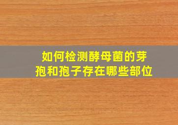 如何检测酵母菌的芽孢和孢子存在哪些部位