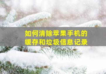 如何清除苹果手机的缓存和垃圾信息记录