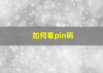 如何看pin码