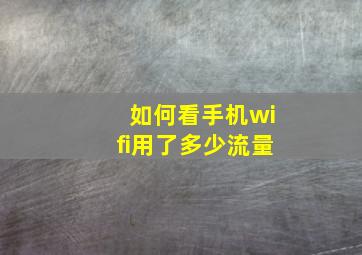 如何看手机wifi用了多少流量