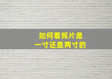 如何看照片是一寸还是两寸的