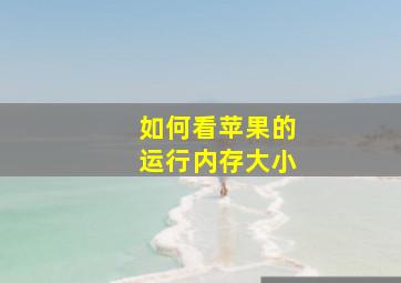 如何看苹果的运行内存大小