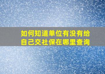 如何知道单位有没有给自己交社保在哪里查询