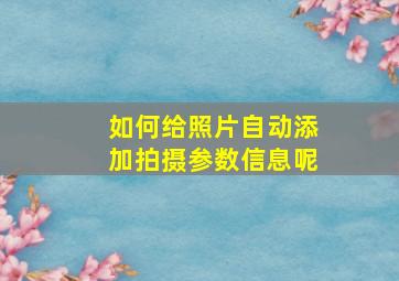 如何给照片自动添加拍摄参数信息呢