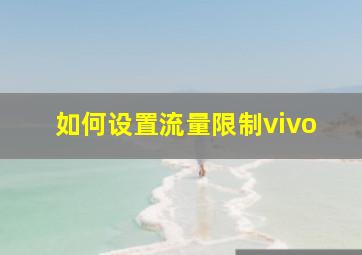 如何设置流量限制vivo