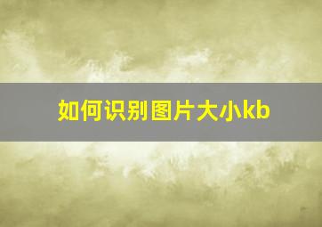 如何识别图片大小kb