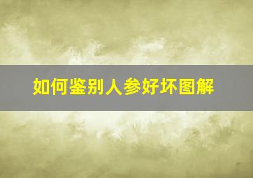 如何鉴别人参好坏图解