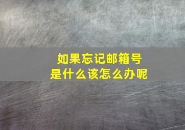 如果忘记邮箱号是什么该怎么办呢