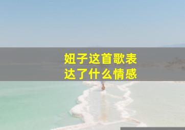 妞子这首歌表达了什么情感