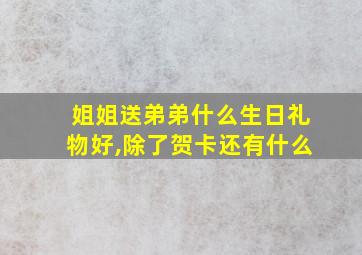 姐姐送弟弟什么生日礼物好,除了贺卡还有什么