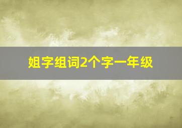 姐字组词2个字一年级