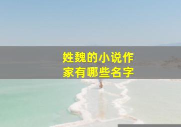 姓魏的小说作家有哪些名字