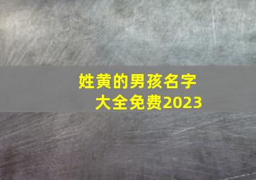 姓黄的男孩名字大全免费2023