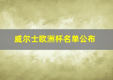 威尔士欧洲杯名单公布