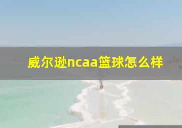 威尔逊ncaa篮球怎么样