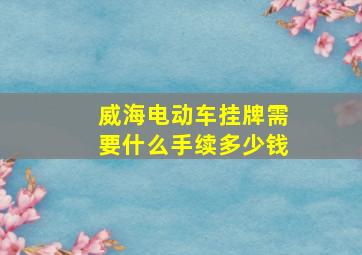 威海电动车挂牌需要什么手续多少钱