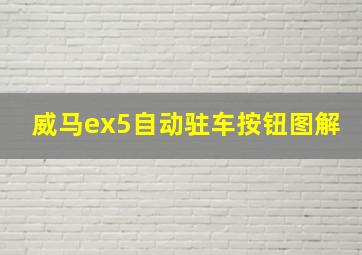 威马ex5自动驻车按钮图解