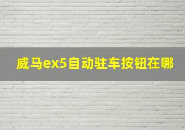 威马ex5自动驻车按钮在哪