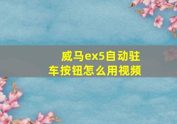 威马ex5自动驻车按钮怎么用视频