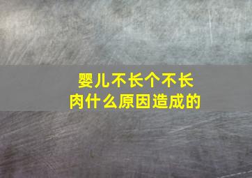 婴儿不长个不长肉什么原因造成的