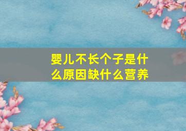 婴儿不长个子是什么原因缺什么营养