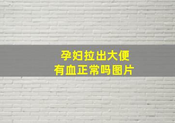 孕妇拉出大便有血正常吗图片