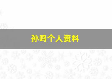 孙鸣个人资料