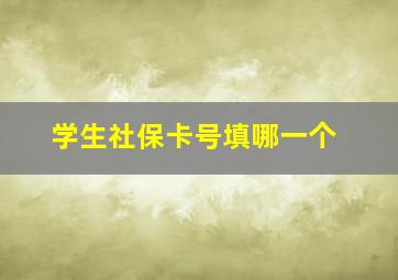 学生社保卡号填哪一个