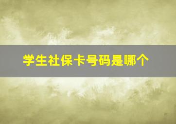 学生社保卡号码是哪个