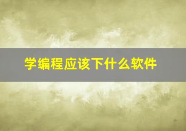 学编程应该下什么软件