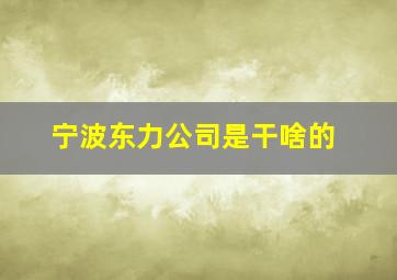 宁波东力公司是干啥的