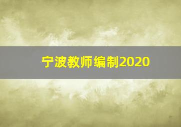 宁波教师编制2020