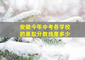 安徽今年中考各学校的录取分数线是多少