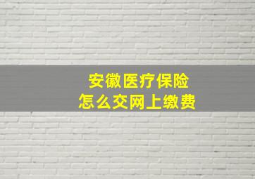 安徽医疗保险怎么交网上缴费