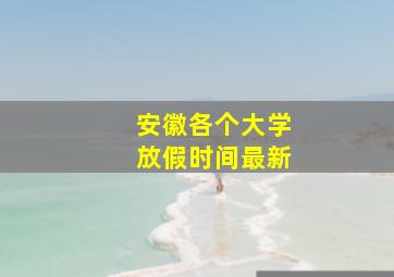 安徽各个大学放假时间最新