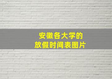 安徽各大学的放假时间表图片