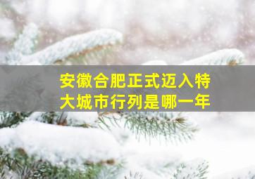 安徽合肥正式迈入特大城市行列是哪一年