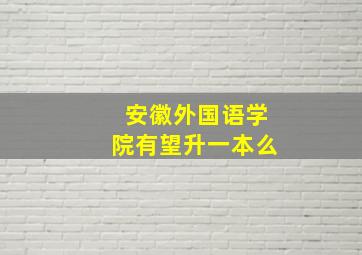 安徽外国语学院有望升一本么