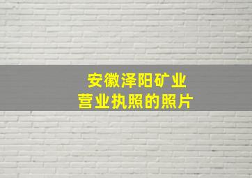 安徽泽阳矿业营业执照的照片