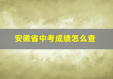 安徽省中考成绩怎么查