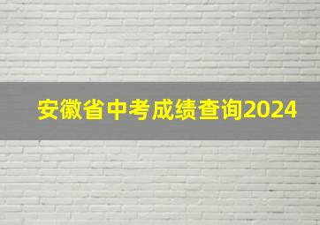 安徽省中考成绩查询2024