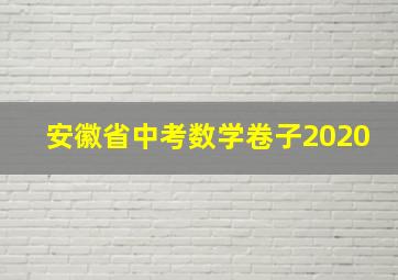 安徽省中考数学卷子2020