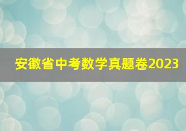 安徽省中考数学真题卷2023