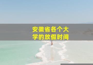 安徽省各个大学的放假时间